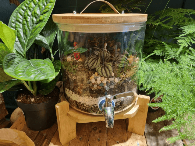 Terrarium with deadpool and Wolverine 