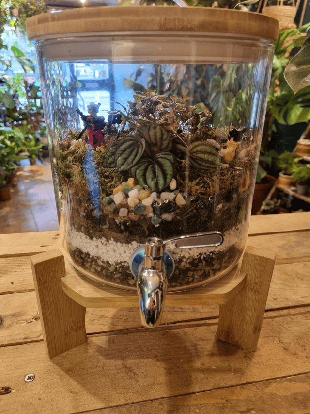 Terrarium with deadpool and Wolverine 