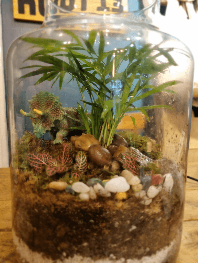 Terrarium workshop goodsyard 26th oct 